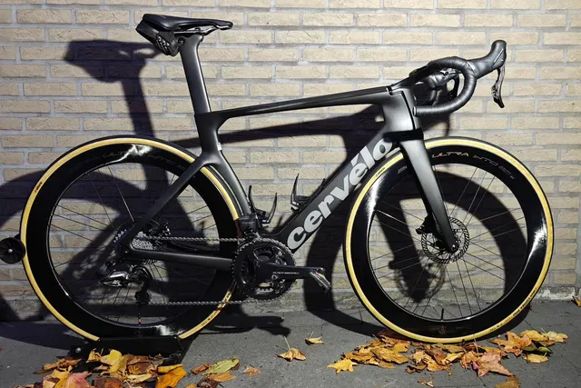 Zwarte Cervélo met bruine flanken tussen de herfstbladeren