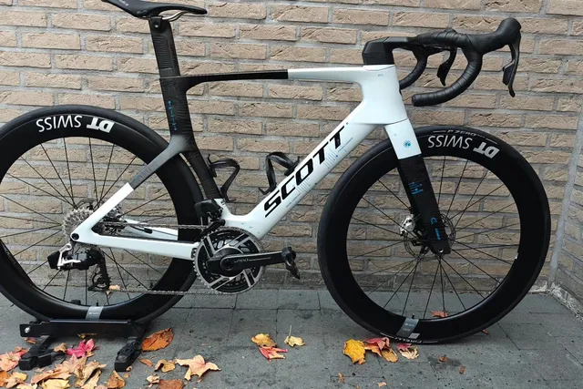 Wit-grijze Scott voor de bakstenen muur