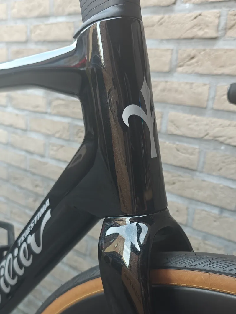 Zwarte Wilier die weer glanst na een Deep Cleaning